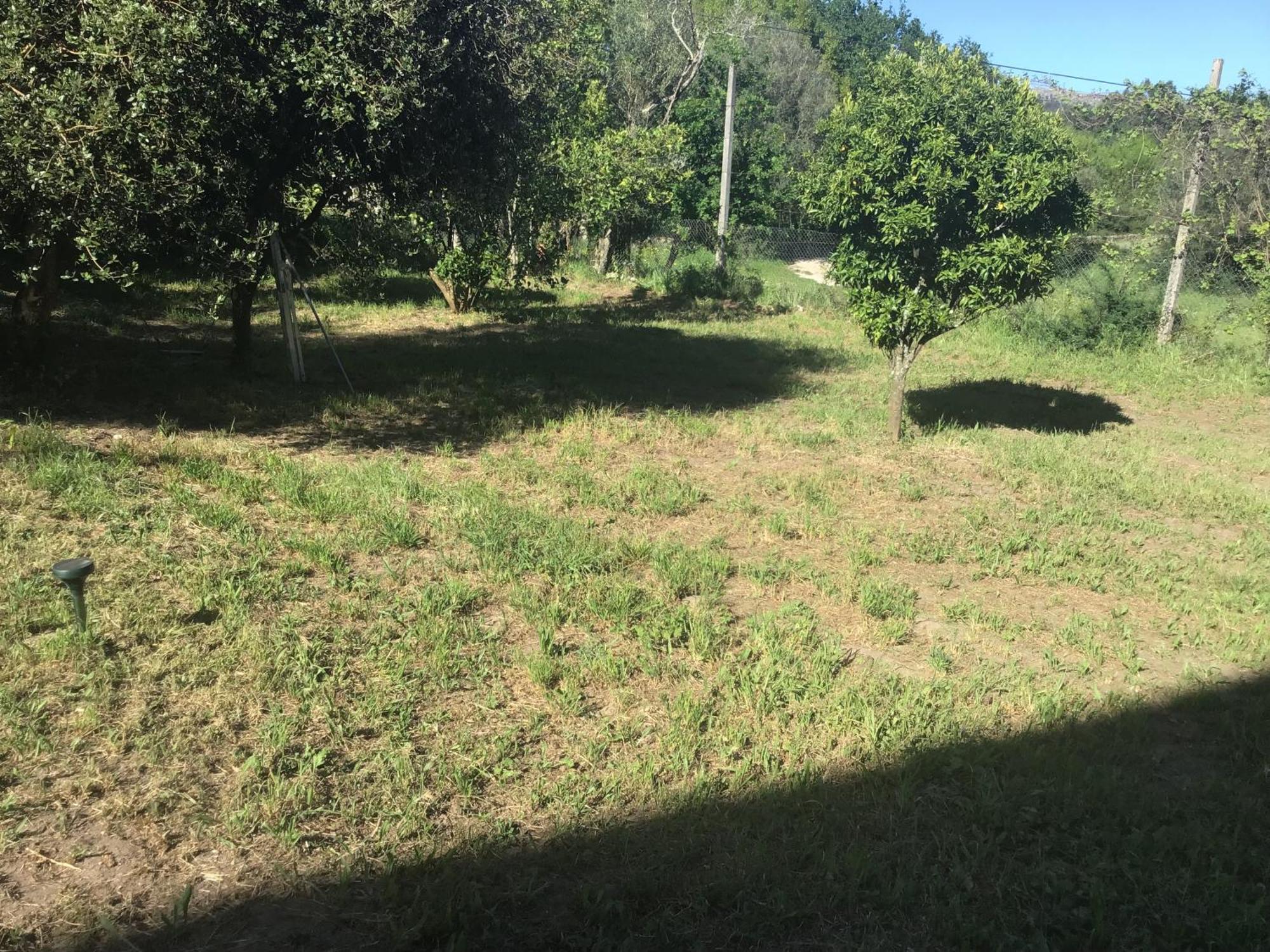 הוילה פאפה Quinta Dos Trilhos מראה חיצוני תמונה